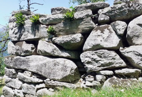 Muro Megalitico di Crego